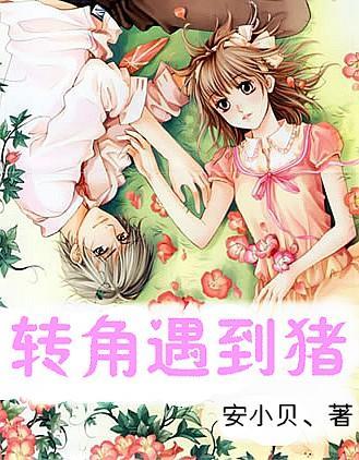 小狗被车撞了怎么办啊游戏画面